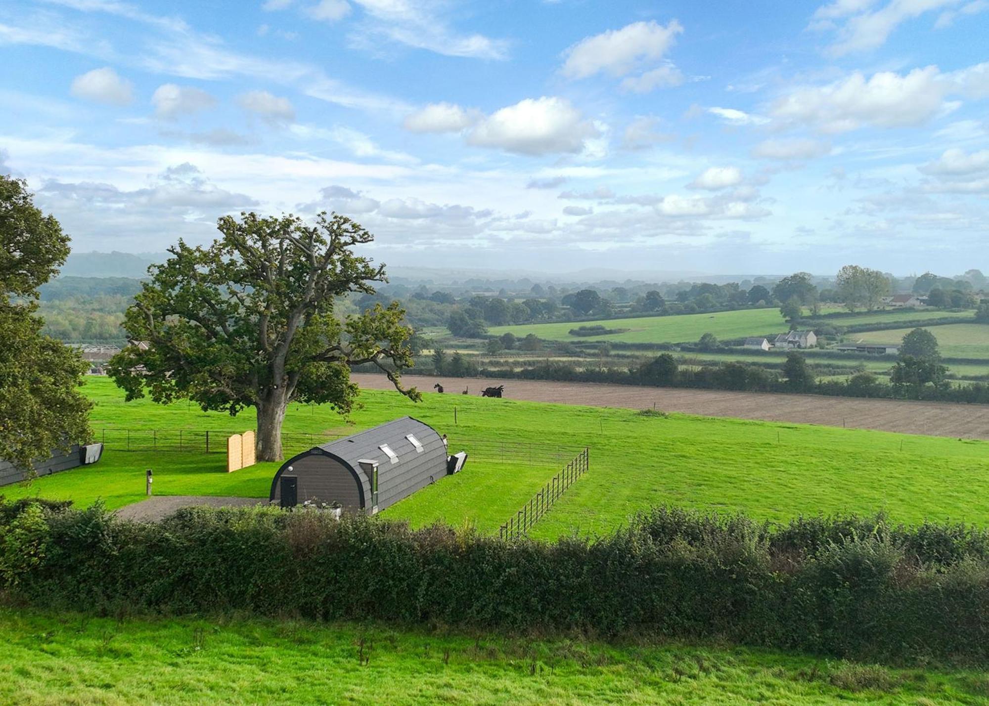 Firtree Farm Lodges Yeovil Ruang foto